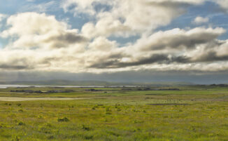 harray landscape, orkney