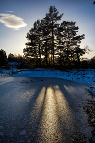cy sunset silhouette on frozen Loch Vaa, cairngorms National Park